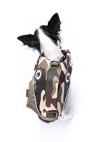 The Doggo'Float Dog Life Jacket By Doggos Wear In Army CamoSafety Vest