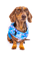 The Doggo'Float Dog Life Jacket By Doggos Wear In Rainbow Fish Safety Vest