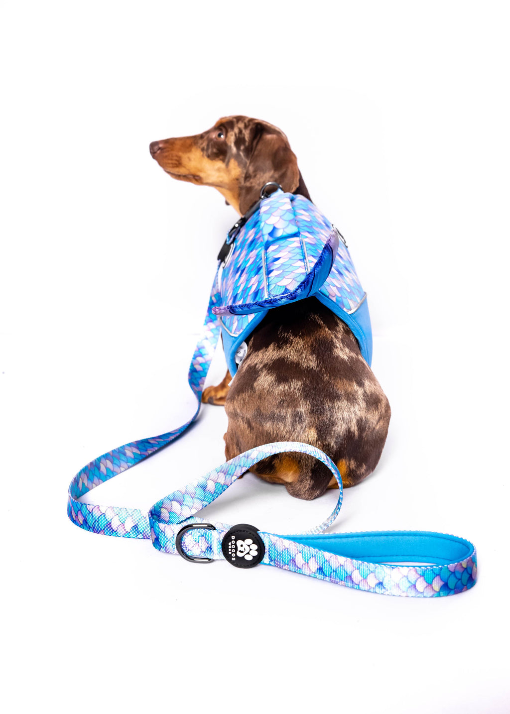 Rainbow Fish Doggo'Float