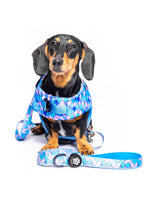 The Doggo'Float Dog Life Jacket By Doggos Wear In Rainbow Fish Safety Vest