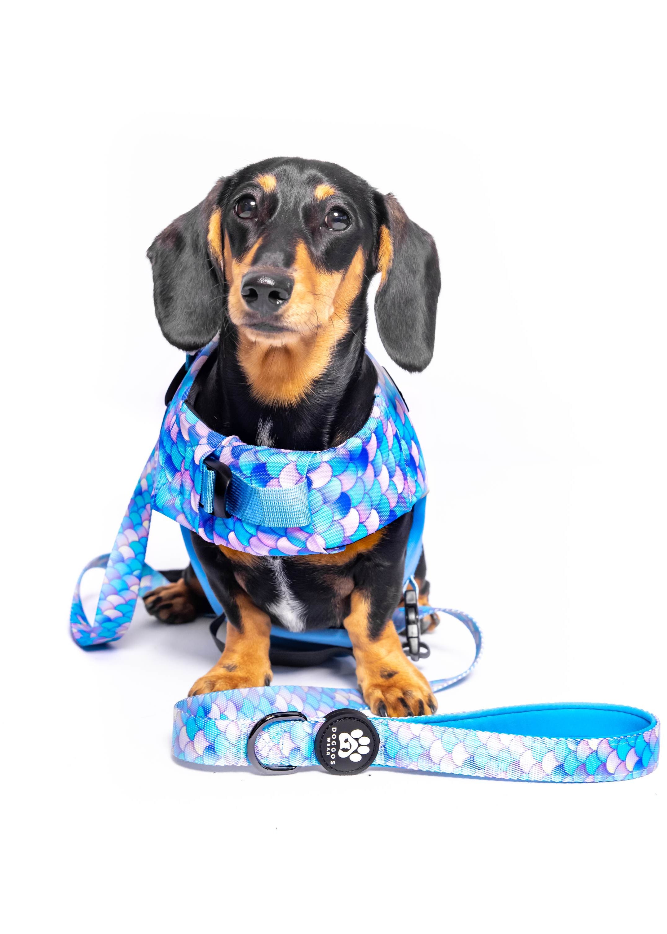 The Doggo'Float Dog Life Jacket By Doggos Wear In Rainbow Fish Safety Vest