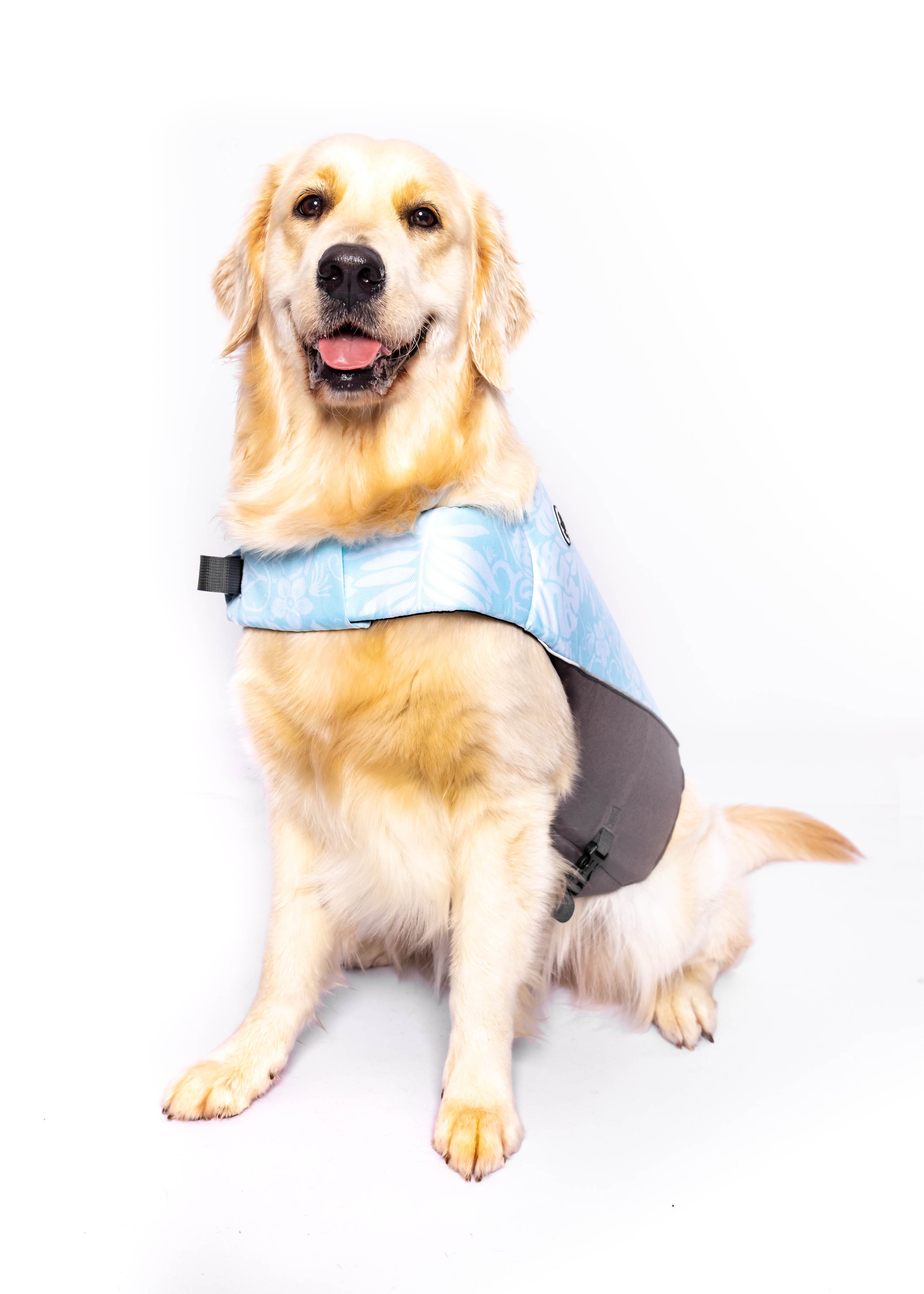 The Doggo'Float Dog Life Jacket By Doggos Wear In Tropicana Safety Vest