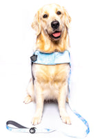 The Doggo'Float Dog Life Jacket By Doggos Wear In Tropicana Safety Vest