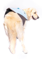 The Doggo'Float Dog Life Jacket By Doggos Wear In Tropicana Safety Vest