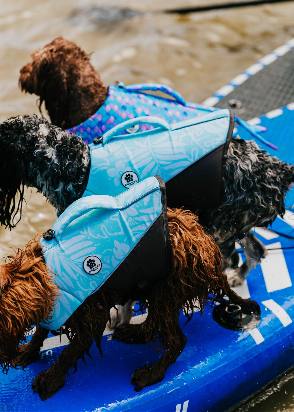 The Doggo'Float Dog Life Jacket By Doggos Wear In Tropicana