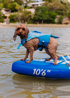 The Doggo'Float Dog Life Jacket By Doggos Wear In Rainbow Fish