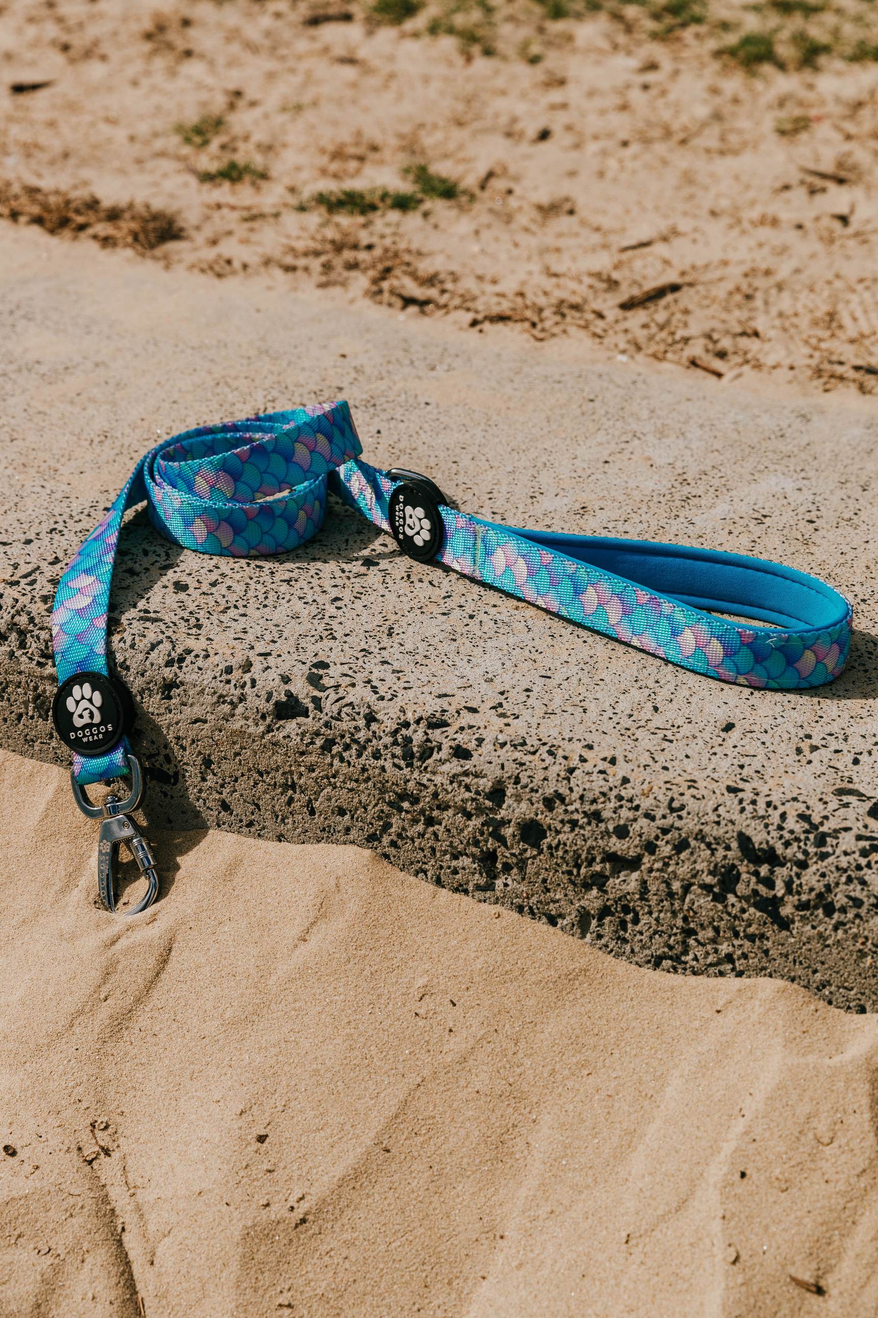 The Dog Leash By Doggos Wear In Rainbow Fish